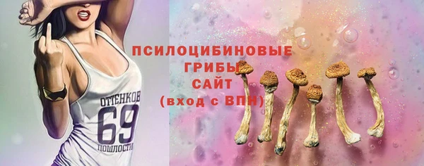 mdpv Новодвинск