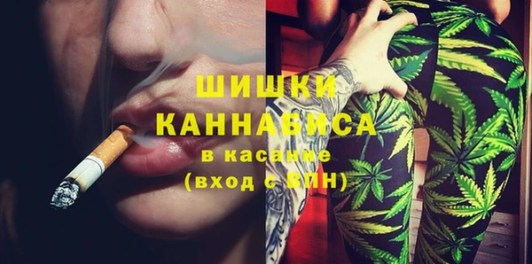 mdpv Новодвинск