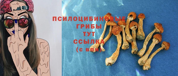 каннабис Новозыбков