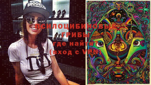 герыч Няндома