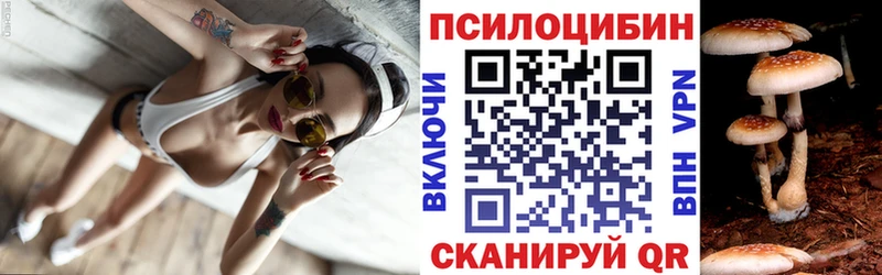 Псилоцибиновые грибы Cubensis  Краснообск 
